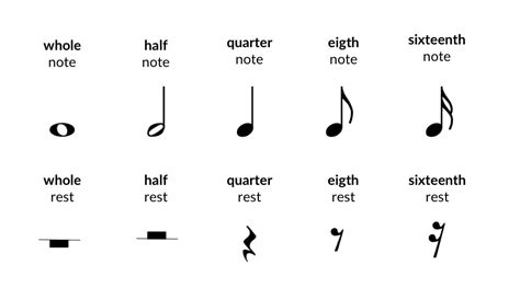 Reading Piano Notes, Timing and Dynamics | flowkey