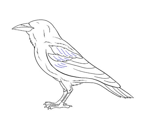 How to Draw a Raven | Step-by-Step Tutorial | Easy Drawing Guides | Silhouette art, Drawings ...