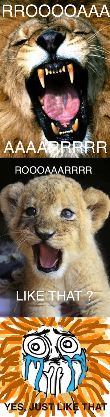 Roar Like That? (Baby Lion) | Funpicc