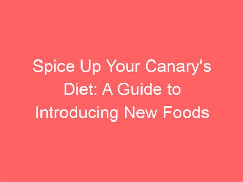 Spice Up Your Canary's Diet: A Guide to Introducing New Foods - My Pet Canary