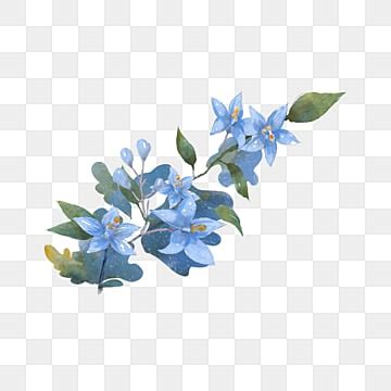 Dusty Blue Flowers Png / Dusty Blue Png Etsy / When designing a new ...