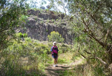 Organ Pipes National Park: Hiking, picnicking, wildlife & geology at ...