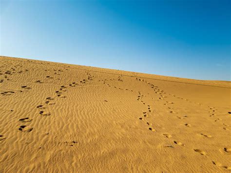 footprints in the desert sand 4193335 Stock Photo at Vecteezy