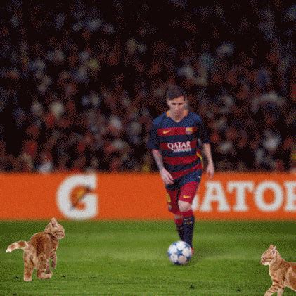 Lionel Messi GIFs - Get the best GIF on GIPHY