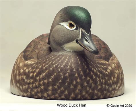 Wood Duck Hen Photo Packet - Godin Art