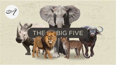 The Big Five in South Africa with Audley Travel - YouTube