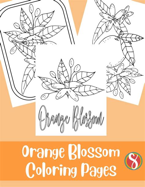 Free Orange Blossom Coloring Pages — Stevie Doodles