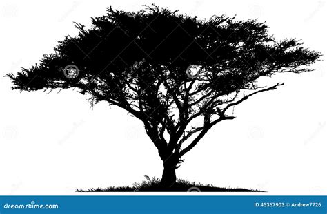 African Savannah. Realistic Vector Landscape. The Nature Of Africa ...