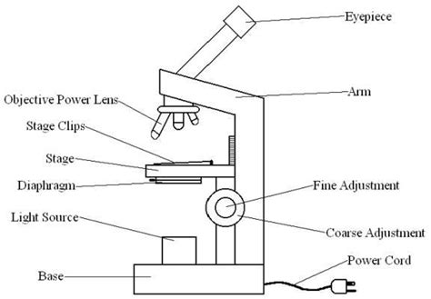 Simple Light Microscope Diagram