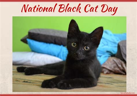 National Black Cat Day | Nancy Roe, Author; The Nancy Way