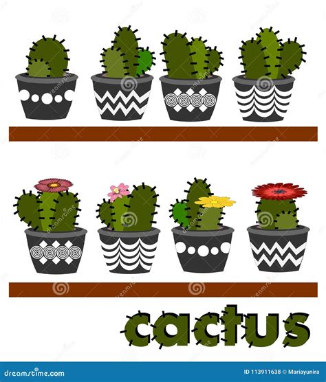 Cactus arrangements stock illustration. Illustration of isolated - 113911638