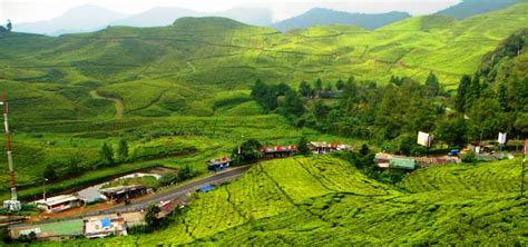 Tempat Wisata Puncak Bogor - Jasa Pembuatan Website | Jasa Web Pro ...