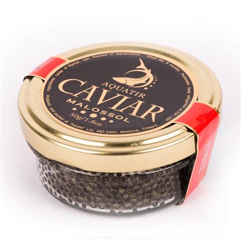 STERLET CAVIAR MALOSSOL(Acipenser ruthenus) | Best Black Caviar