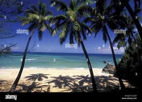 Comoros beach hi-res stock photography and images - Alamy