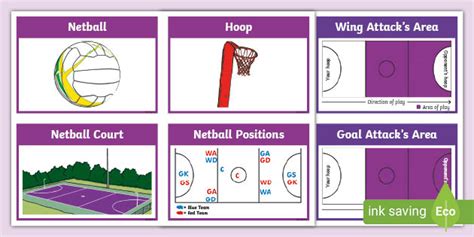 Netball Positions Template | PE Flashcards | NZ Primary