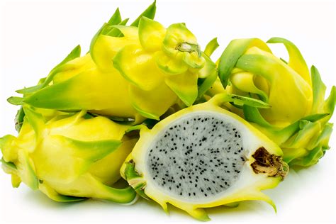 Israeli Yellow Dragon Fruit Information and Facts