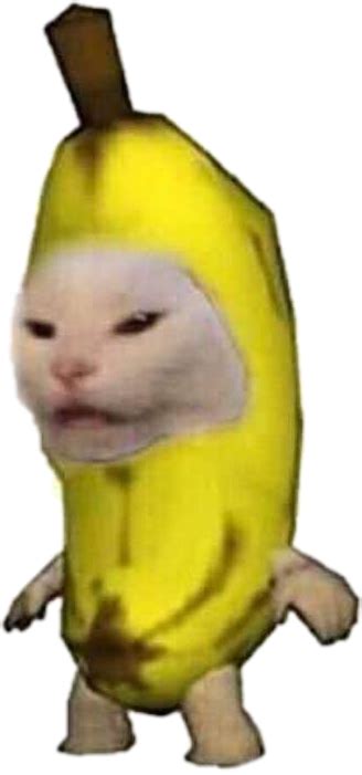 Banana Cat Meme | peacecommission.kdsg.gov.ng