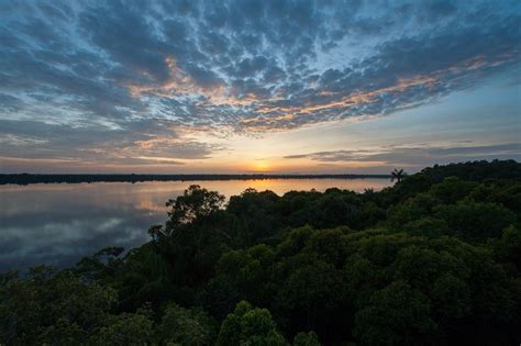 The Anavilhanas Archipelago in the Amazon Region | Aventura do Brasil