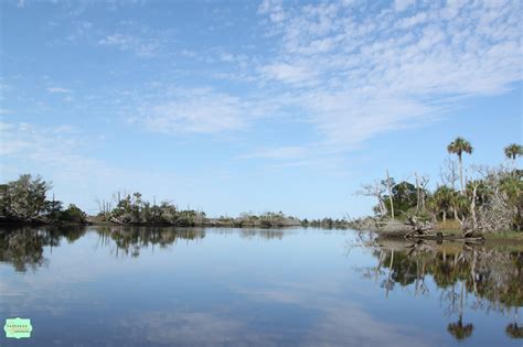 Captured Grace Photography: Cedar Key Florida :: Nature Photography