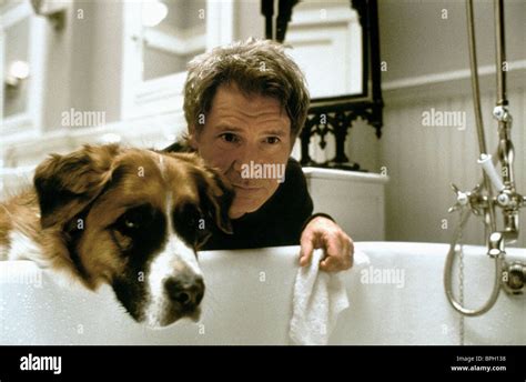 HARRISON FORD & DOG WHAT LIES BENEATH (2000 Stock Photo, Royalty Free Image: 31106860 - Alamy