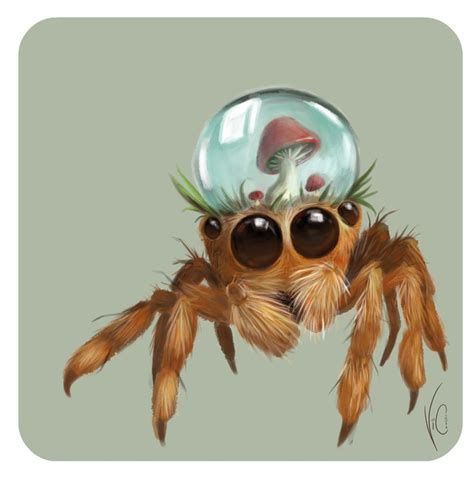 hybrid jump spider by Vicoline Art | Spider art, Spider drawing, Spider ...