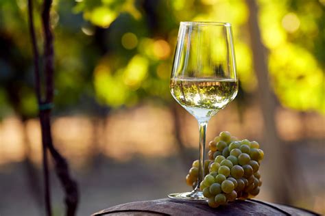 How White Wine Is Made | Wine Enthusiast