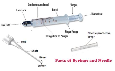 Parts of Syringe And Needle, Functions, Uses