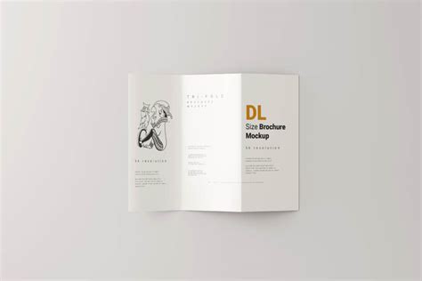 Free DL Three Fold Brochure Mockups PSD set - Free Photoshop Files