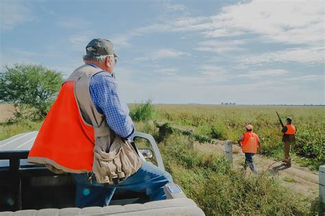 Wild Quail Hunting in Mexico | Rancho Ala Blanca