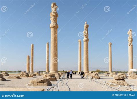 Awesome View of Columns of the Apadana Palace, Persepolis, Iran Stock ...