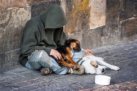 The Homeless and their Pets – WellBeing International