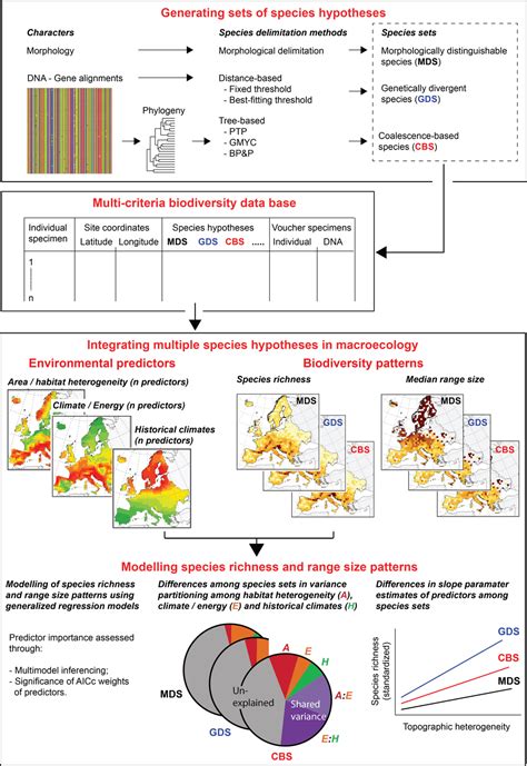 What’s in a name? A review of cryptic species and species concepts