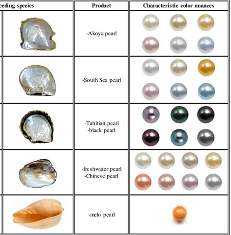 Download scientific diagram | Different types of pearl producing ...