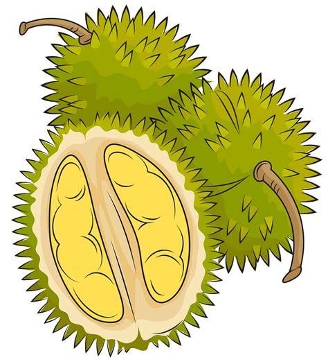 durian png cartoon - Clip Art Library