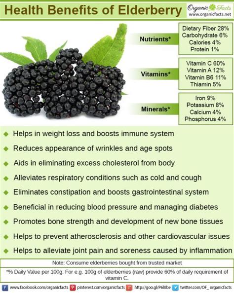 Health Benefits of Elderberries | Organic Facts | Coconut health ...