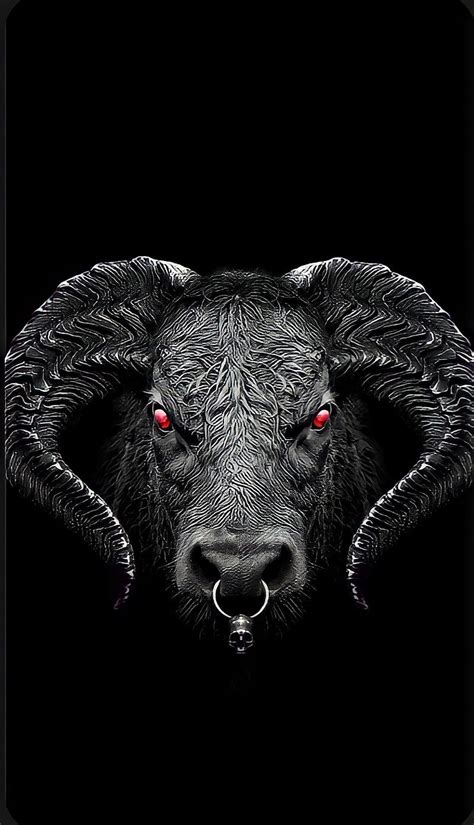 Angry bull, terrestrial animal, working animal, HD phone wallpaper | Peakpx