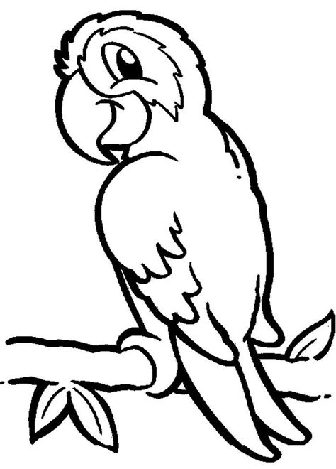 Cute Parrot Coloring Pages PDF - Coloringfolder.com | Bird coloring ...