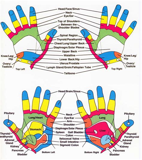 Complementary Therapy: Reflexology - Healing Touch Charlotte