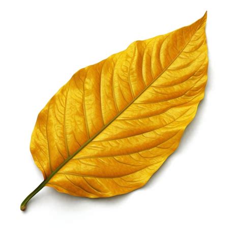 Premium AI Image | Yellow leaf isolated on white background