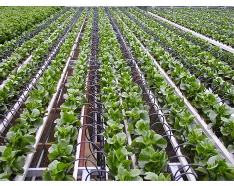 KSNM Cultivation Greenhouse Irrigation System at Rs 2600/piece in Coimbatore