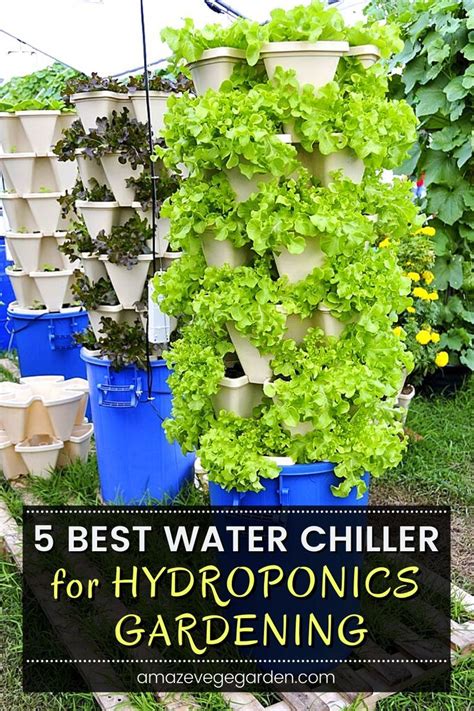 5 Best Water Chiller for Hydroponics Gardening | Hydroponics, Water ...