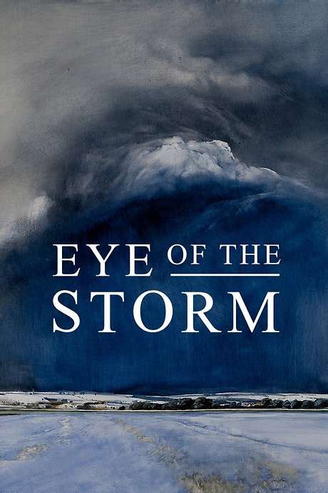 ‎Eye of the Storm (2021) directed by Anthony Baxter • Reviews, film ...