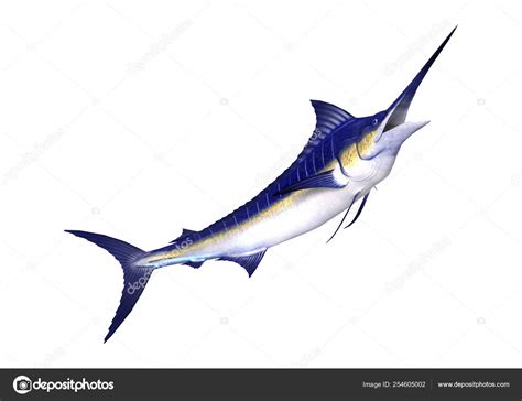 Detail Gambar Ikan Marlin 3d Koleksi Nomer 12