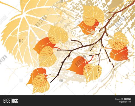 September Leaves Image & Photo (Free Trial) | Bigstock