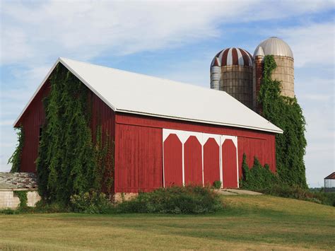 Michigan barn with vines. | Old barns, Barn photos, Old farm