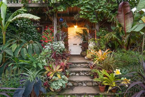 tropical garden norfolk - Google Search | Balinese garden, Tropical landscaping, Jungle gardens