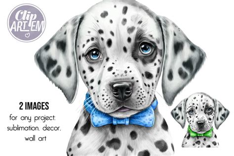 Cute Watercolor Dalmatian Puppy Clip Art Digital PNG Images By clipArtem | TheHungryJPEG