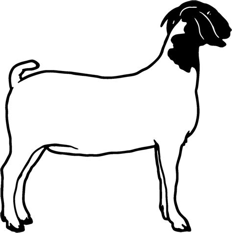 Download Goat Dairy Goats Clip Art Danaspda Top Transparent - Clip Art Boer Goat, HD Png ...