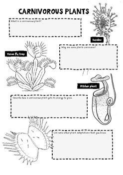 Carnivorous Plant Adaptations (Science, Biology, Botany, Evolution)