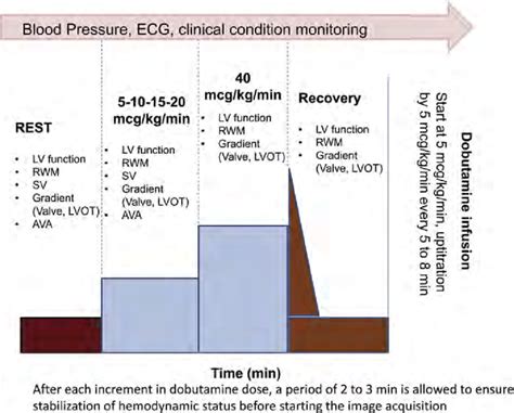 Dobutamine echocardiography protocol. A low-dose test is recommended in... | Download Scientific ...